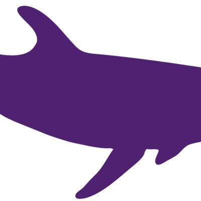 AR DOLPIN 12 RC Thumbnail