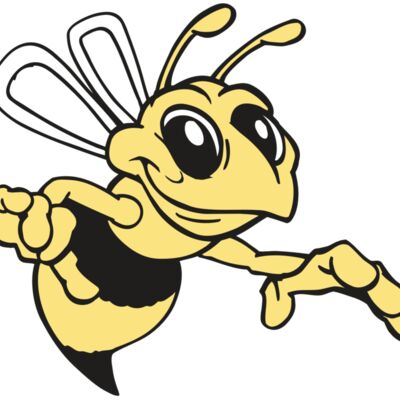 AR BEE 35 RC Thumbnail