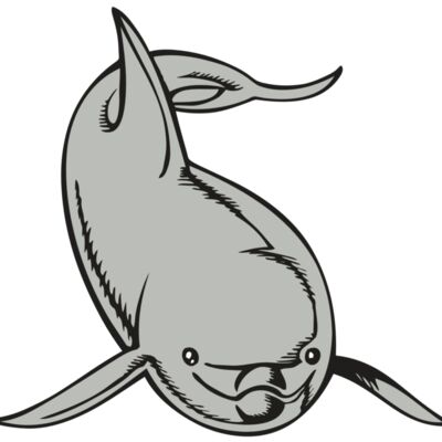 BAW DOLPHIN 02 RC Thumbnail