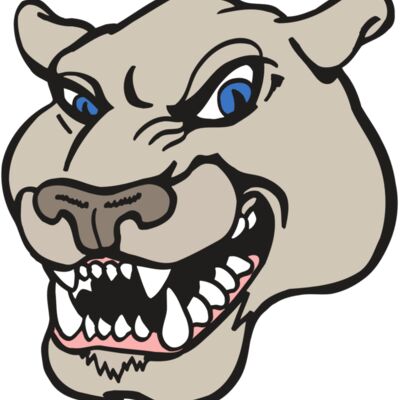 AR5 COUGAR 10 RQC Thumbnail