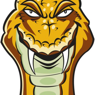 SNAKE HD0503 RQC Thumbnail